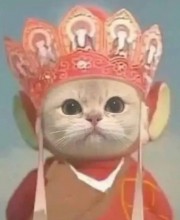 Bạch