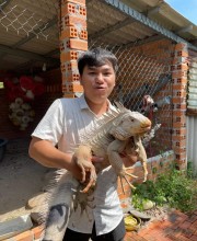 Trần