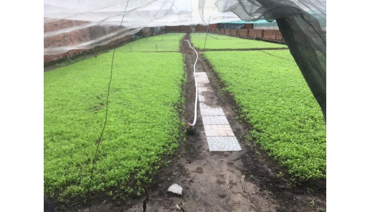 Cần Cho Thuê Nhanh Nhà Đất tại huyện Hóc Môn, TPHCM
