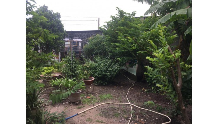 Cần Cho Thuê Nhanh Nhà Đất tại huyện Hóc Môn, TPHCM