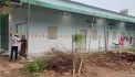 Biệt thự đẹp giáp Gò Vấp, nội thất cao cấp, nhà đẹp long lanh