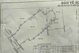 Bán villa 10x30m 4 lầu đường NB Man Thiện, Phường Tăng Nhơn Phú A, Quận 9 giá 28  tỷ