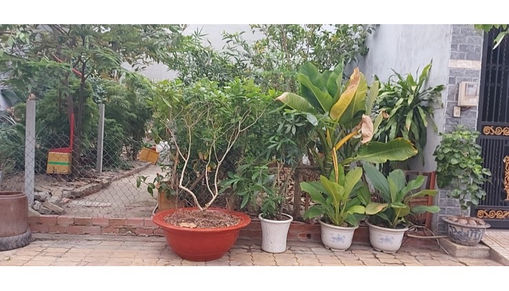 Cho thuê các Mặt bằng đường 160, 494, Man thiện,Tăng Nhơn Phú A, Tp Thủ Đức giá 6tr/1t