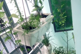 CHÍNH CHỦ NGÔP NGÂN HÀNG BÁN NHANH 50M2 NHÀ 2 TẰNG NGAY QUANG TRUNG.  GÒ VẤP.
