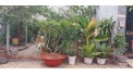Cho thuê các Mặt bằng đường 160, 494, Man thiện,Tăng Nhơn Phú A, Tp Thủ Đức giá 6tr/1t