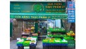 Sang cửa hàng thực phẩm rau, củ quả sạch Địa chỉ 27 Văn Chung p13 Tân Bình