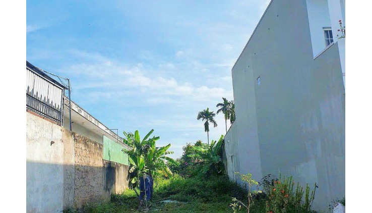 Bán Đất Mặt Tiền 150, Đường Nguyễn Thị Sáu, Thới Tam Thôn. Hóc Môn Hơn 4 Tỷ