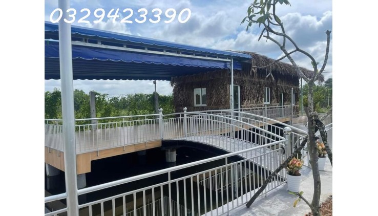 CẦN BÁN HOMESTAY NGHỈ DƯỠNG, ĐƯỜNG VƯỜN THƠM, BÌNH LỢI, BÌNH CHÁNH TPHCM, 1020 M2, GIÁ 5,35 TỶ