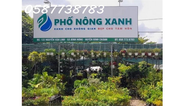 Qua năm về quê đầu tư, chính chủ cần sang nhượng cửa hàng bán cây kiểng, rau giống tại cơ sở 2.