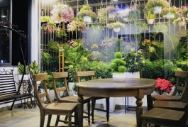 SIÊU PHẨM BIỆT THỰ MINI - SỔ NỞ HẬU - TẶNG NỘI THẤT CAO CẤP