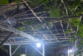 SIÊU PHẨM TÂN BÌNH - NHÀ CĂN GÓC 3 MẶT HẺM - HẺM XE TẢI TRÁNH 7M, HẺM TO NHƯ ĐƯỜNG - VỊ TRÍ NHƯ MẶT TIỀN SÁT BÊN CHỢ ÔNG ĐỊA - NHỈNH 10 TỶ