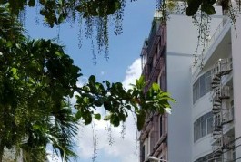 CHUYÊN MÔI GIỚI QUẬN 7, MÔI GIỚI QUẬN 8, MÔI GIỚI QUẬN 4, MÔI GIỚI NHÀ BÈ
Đường số 10 Tân Quy
