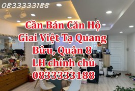 Chính chủ cần Bán căn hộ Giai Việt Tạ Quang Bửu, Quận 8