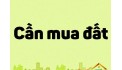 Chính chủ bán nhà hẻm 152 Nguyễn Trọng Tuyển, phường 8, quận Phú Nhuận