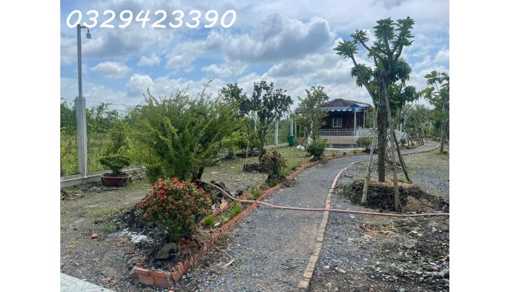 BÁN  NHÀ VƯỜN TẠI ĐƯỜNG VƯỜN THƠM, BÌNH LỢI, BÌNH CHÁNH, TP HCM. DIỆN TÍCH KHỦNG GIÁ TÍ HON