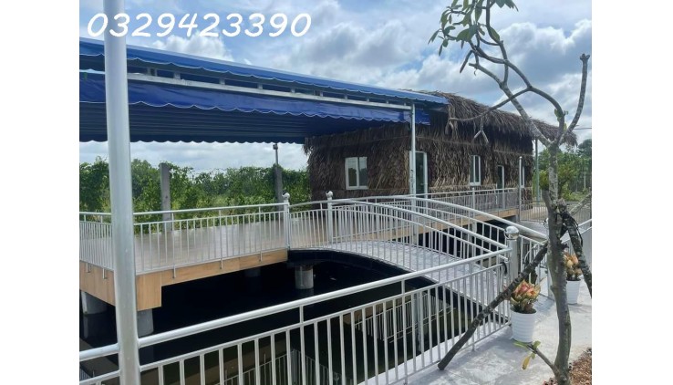 BÁN  NHÀ VƯỜN TẠI ĐƯỜNG VƯỜN THƠM, BÌNH LỢI, BÌNH CHÁNH, TP HCM. DIỆN TÍCH KHỦNG GIÁ TÍ HON