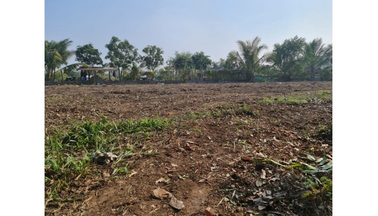 Bán Gấp Đất Mặt Tiền Kênh Tiêu Bà Điểm Hóc Môn 1990m2 Chỉ 27 Tỷ