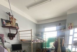 _______  Siêu Phẩm 3 Tháng 2 Quận 10 _______