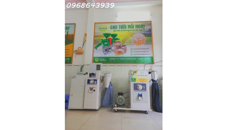 Gạo XÁT DỐI ST25 lúa tôm – Nguồn dinh dưỡng bị lãng quên, Miễn Phí Giao Hàng Toàn Quốc