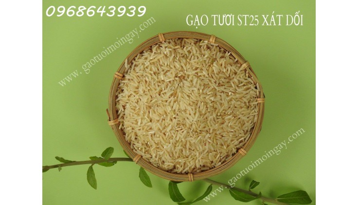 Gạo XÁT DỐI ST25 lúa tôm – Nguồn dinh dưỡng bị lãng quên, Miễn Phí Giao Hàng Toàn Quốc