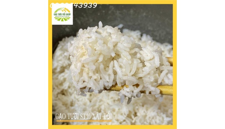Gạo XÁT DỐI ST25 lúa tôm – Nguồn dinh dưỡng bị lãng quên, Miễn Phí Giao Hàng Toàn Quốc