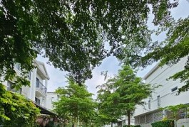 Chính chủ cho thuê villa khu dân cư Nine South Nhà Bè, TP.HCM