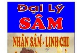 Tôi sang nhượng Đại lý : Hồng Sâm - Linh Chi Hàn Quốc Tiệm gần sát đường Tân Kỳ Tân Quý , Quân : Tân Phú