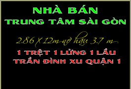 Nhà phố rẻ 1 trệt 1 lửng 1 lầu Trần Đình Xu Quận 1 TP.HCM