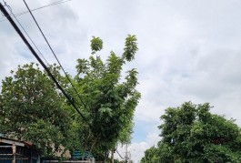 MẶT TIỀN ĐƯỜNG 200M2 CHỈ 9.5 TỶ.,
