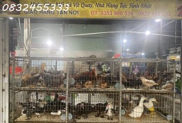 Bán nhà đường Bờ Bao Tân Thắng ngay Aeon Mall Tân Phú - giá chỉ 3tỷ2