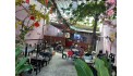 Bình Tân – Bình Chánh, Nhanh Còn ! Quán Cafe S/Vườn – Võng Đẹp Lắm ! Sang Giá Rẻ Chỉ 79 tr, DT: 9m x 28m , thuê : 10 tr / tháng, Tel :