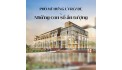 Larcade Phú Mỹ Hưng, Bất động sản hạng sang, Vừa ở vừa kinh doanh.