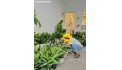 CẦN SHARE MẶT BẰNG TẠI LÊ VĂN SỸ, QUẬN 3, TP. HỒ CHÍ MINH