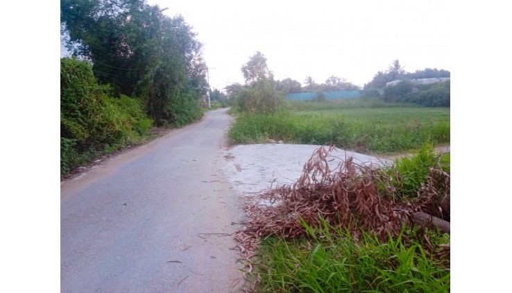 Chính chủ cần cho thuê nhà và đất trống