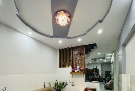 Nhà hẻm xe hơi Dương Tự Quán (4,5 x 15m), 3 tấm nhà đẹp. 6 TY 5