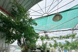 Bán nhà Tân Bình, Nguyễn Phúc Chu,72m2 (5.5*13m), tiện xây mới,  ngay cổng kcn, chợ. 4.3T