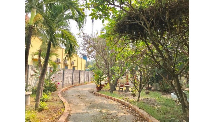 MT Nguyễn Văn Bứa cách QL22 chưa đến 1km 20x65 1266m2 đất và nhà Giá 30.5 tỉ. Liên hệ a Duy 0934933978