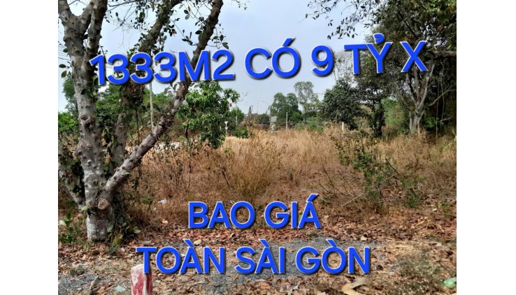 Bao Giá Toàn Sài Gòn 1333m2 Đất 9 tỷ x Nguyễn Thị Nói Củ Chi TPHCM