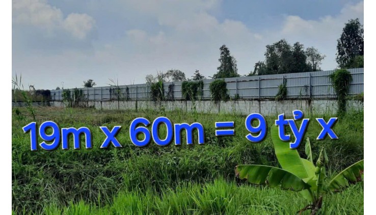 Bao Giá Toàn Sài Gòn 1333m2 Đất 9 tỷ x Nguyễn Thị Nói Củ Chi TPHCM