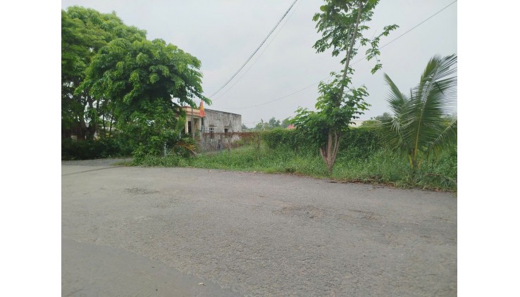 Bán Đất mặt tiền Đinh Văn Ước  33x63 xã Hưng Long  Bình Chánh giá 17 tỷ