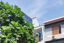 Bán gấp lô đất đường Đô Đốc LộcTP 59.2m2 Chỉ 5tỷ nhỉnh HXH