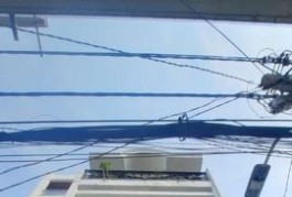 ______  Cư Xá Phú Bình Quận 11 Phường 5. ______