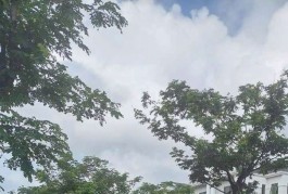 MT Nguyễn Văn Bứa cách QL22 chưa đến 1km 20x65 1266m2 đất và nhà Giá 30.5 tỉ. Liên hệ a An 0902277579