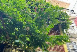 Bán nhà HXH 48m2 1T 1L MỞI đẹp ở ngay. Hẻm 6m thông tứ hướng chỉ 5 tỷx