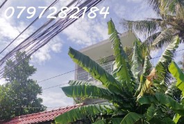 BÁN NHÀ 3 TẦNG XE HƠI  PHƯỜNG PHÚ HỮU, QUẬN 9 TP THỦ ĐỨC 107M² ,GIÁ 6 TỶ