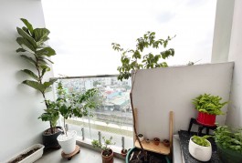 Zá cực tôt: căn hộ Emerald Celadon City 1PN, NTCB, giá 2.74 tỷ