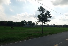 Bán đất lớn mặt tiền Nguyễn Thị Đành, 9.310m2, xã Xuân Thới Sơn, Hóc Môn