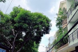 Bán tòa nhà 6 Tầng, đường Tân Mỹ - Trần Xuân Soạn, 8.5x16m - 24 PN, HĐT 70Tr, 16.9 tỷ.