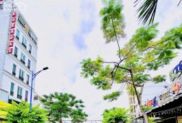 Cho thuê mặt bằng mặt tiền đường Đồng Đen, Phường 10, Tân Bình - Cơ hội vàng cho doanh nghiệp!