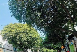 Cho thuê nhà nguyên căn góc 2 mặt tiền Dương Văn Dương, Quận Tân Phú